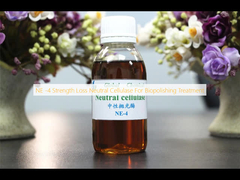 NE -4 耐久性喪失 中性セルラース バイオポリシング治療
