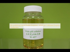 生物磨き 液体繊維酵素 広範囲のPHセルラーゼ酵素生産